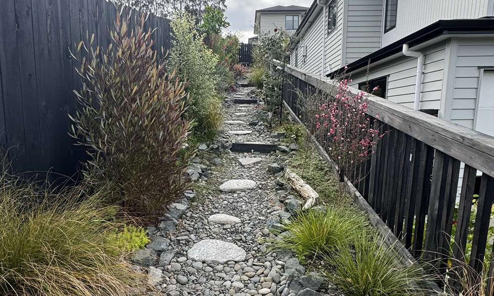 Pathway and drainage-aware landscaping