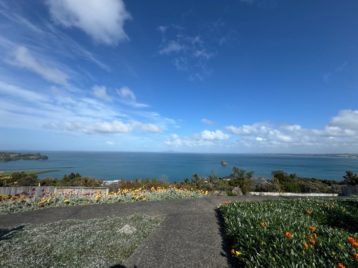 Clifftop property maintained by Ace of Spades