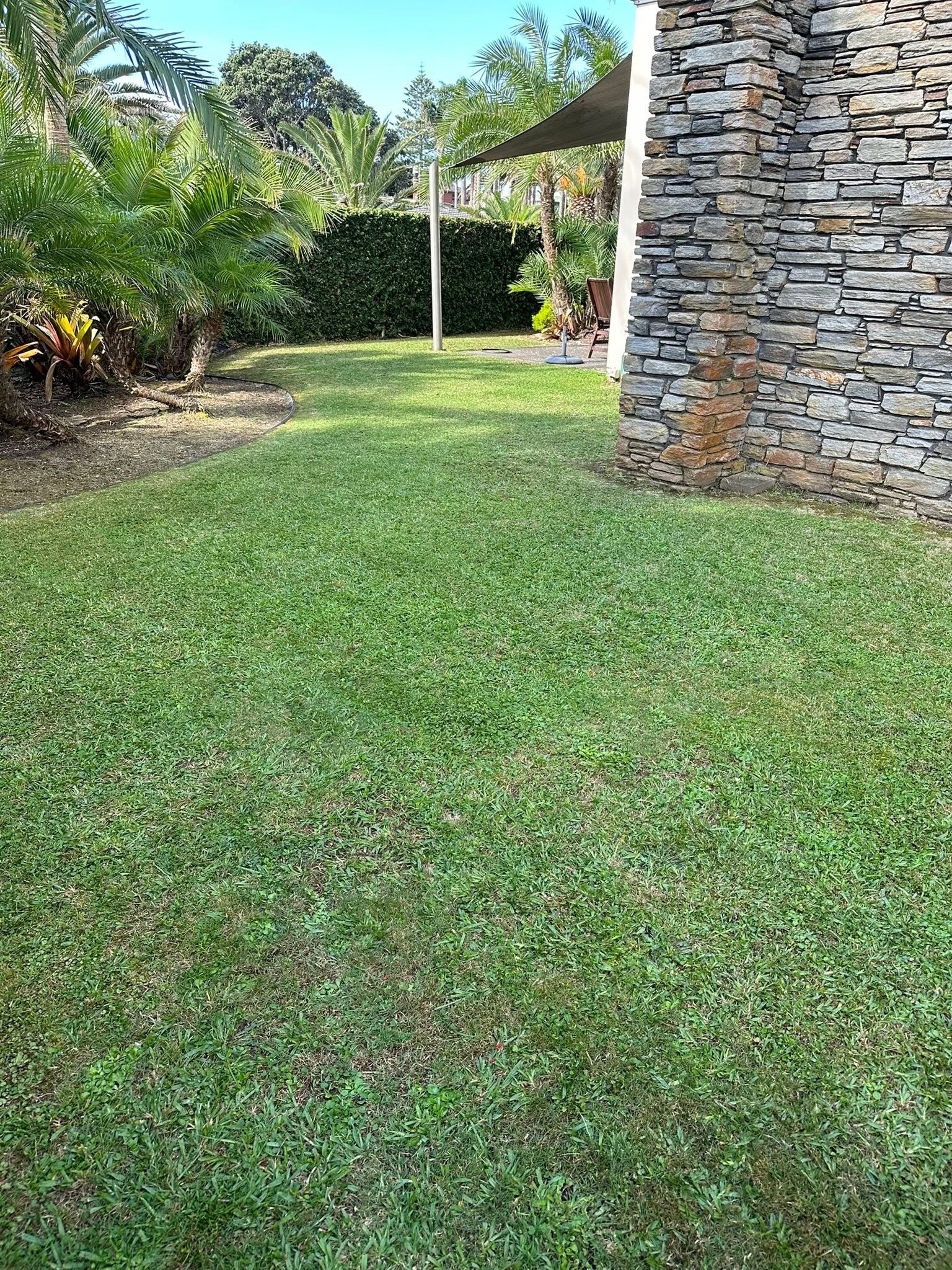 Freshly maintained tropical lawn