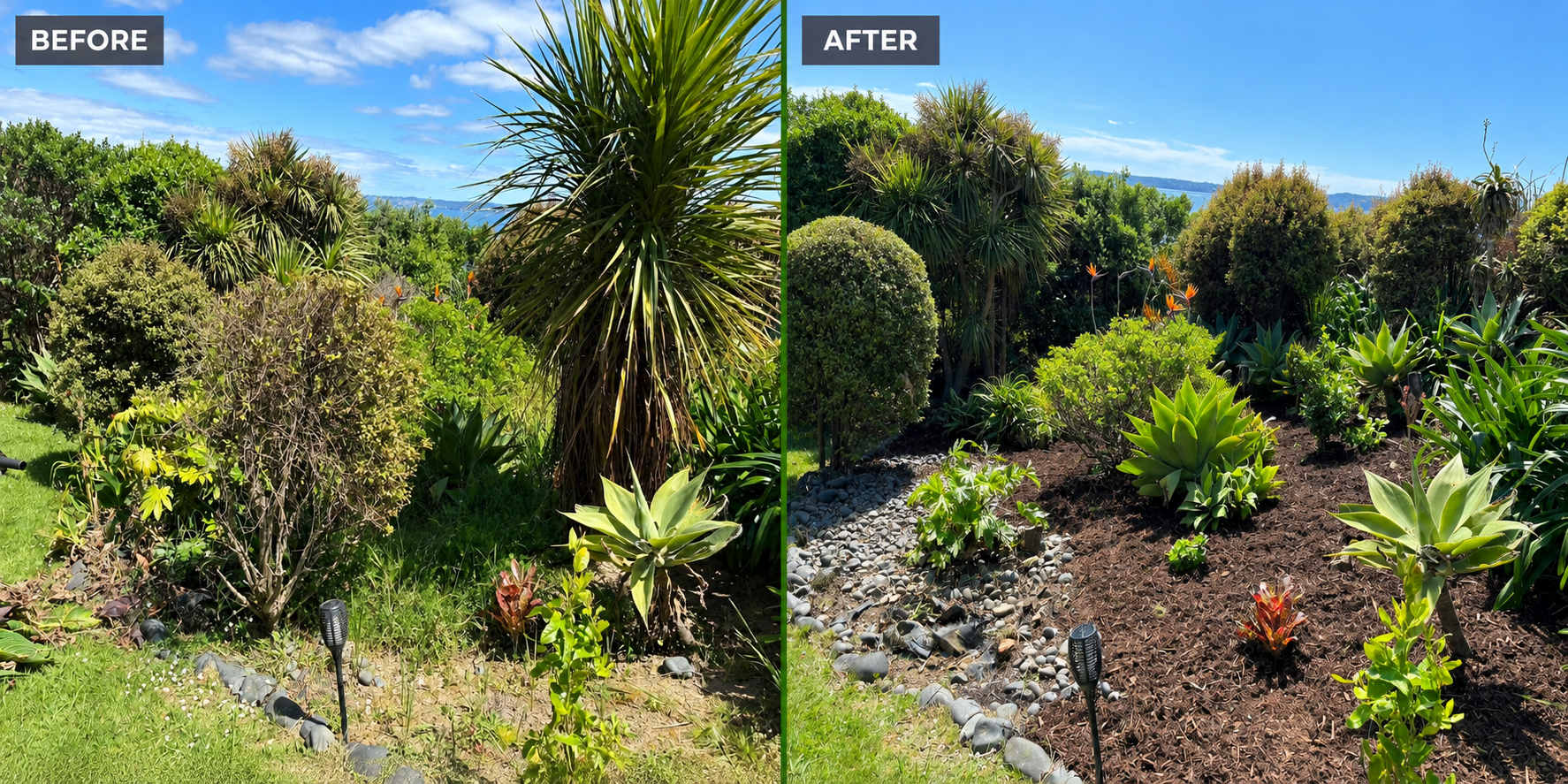 Before and after coastal garden maintenance