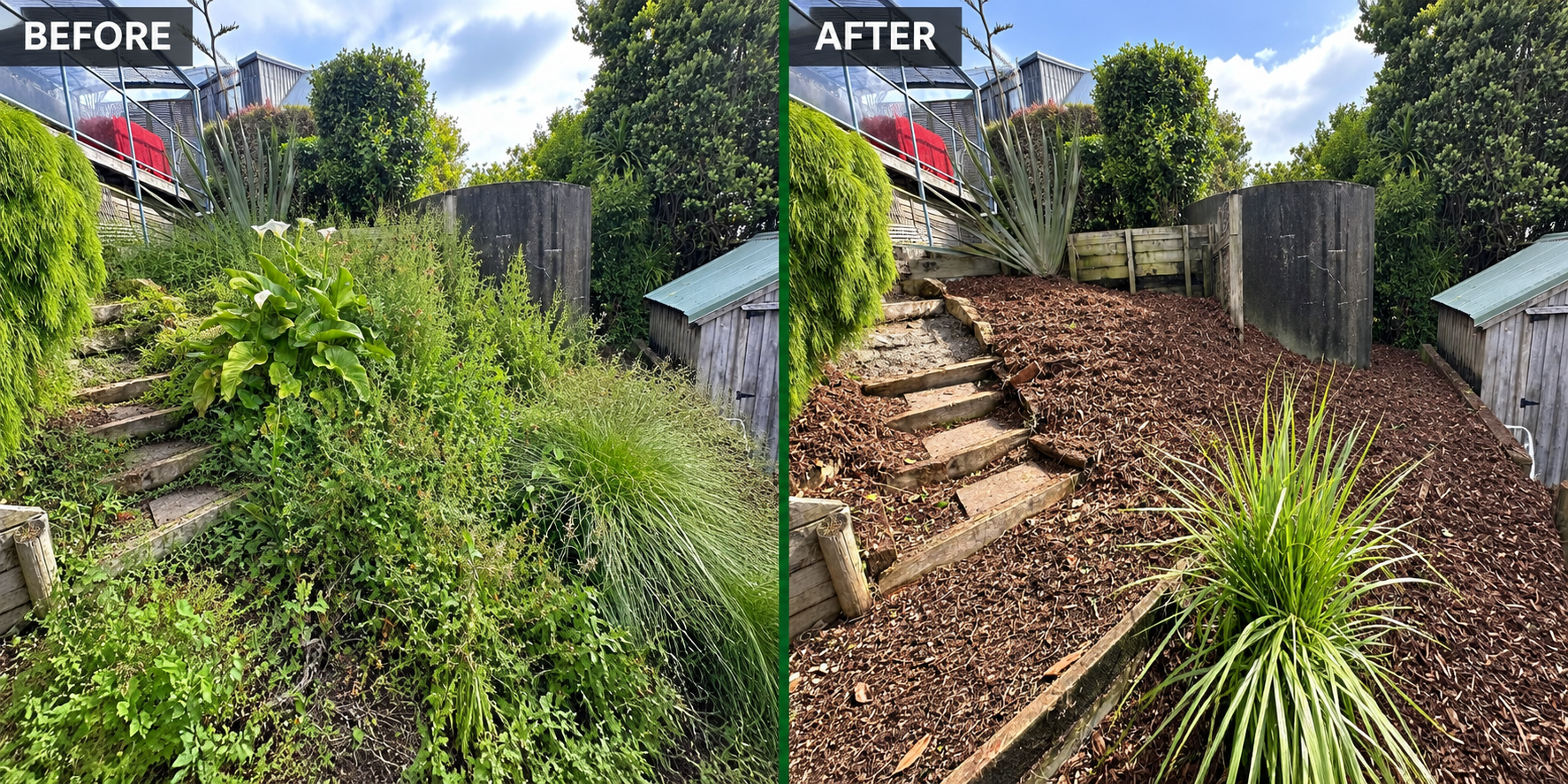 Before and after overgrown slope gardening