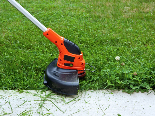 Weed eating